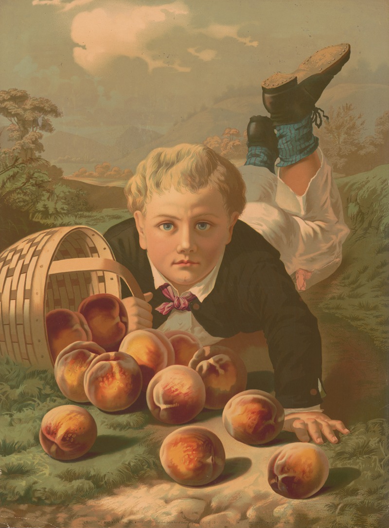 Anonymous - Young boy on the ground, after he has fallen, with a basket of spilled peaches
