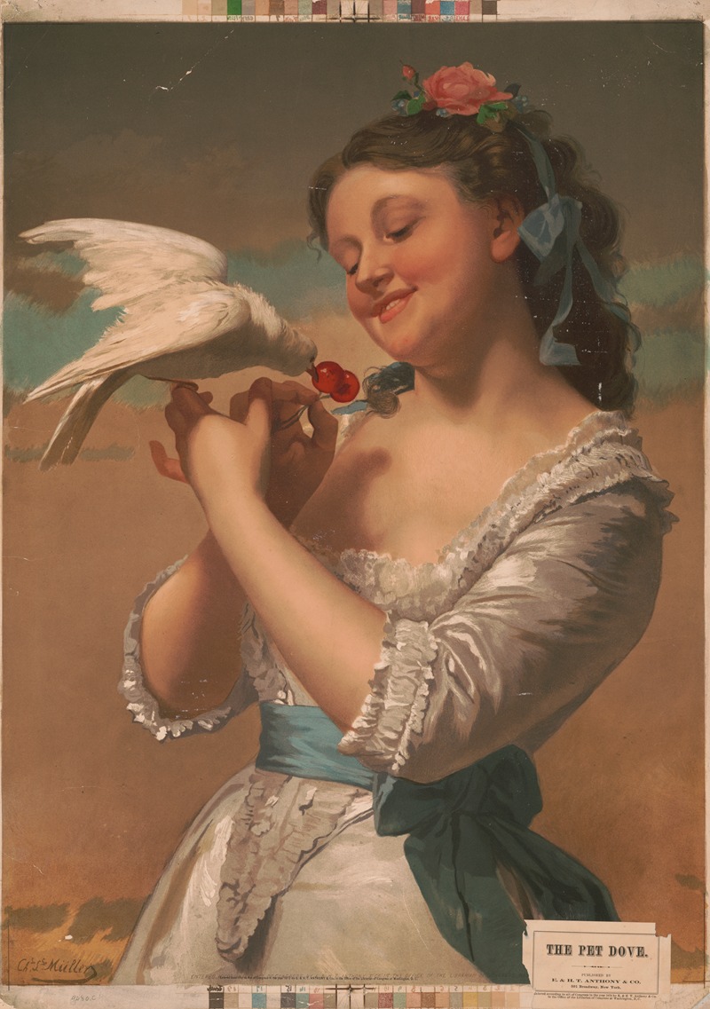 E. & H. T. Anthony & Co. - The pet dove