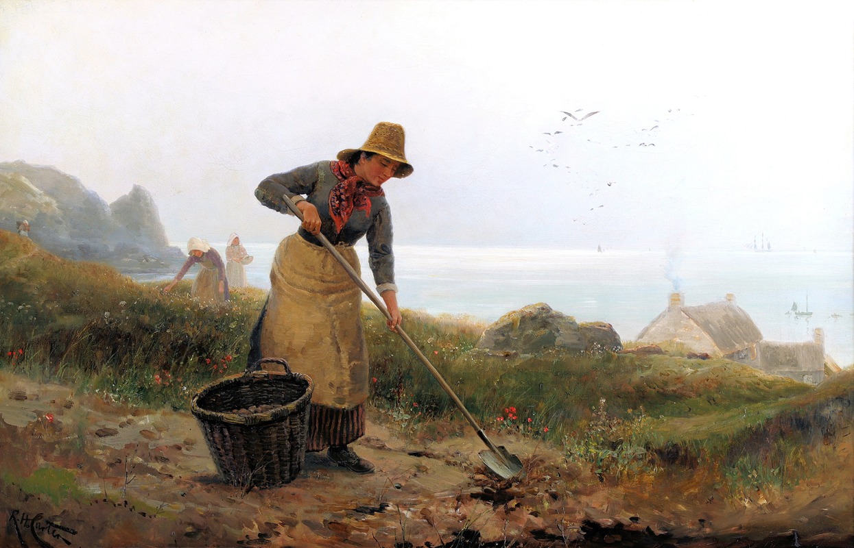 Richard Harry Carter - A Little Potato Garden, Cornish Coast