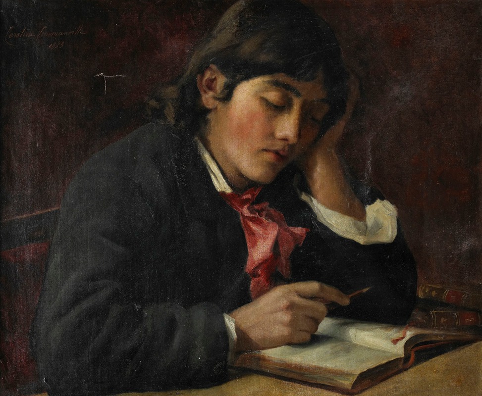 Caroline Franklin-Grout - Portrait de Gustave Flaubert adolescent.