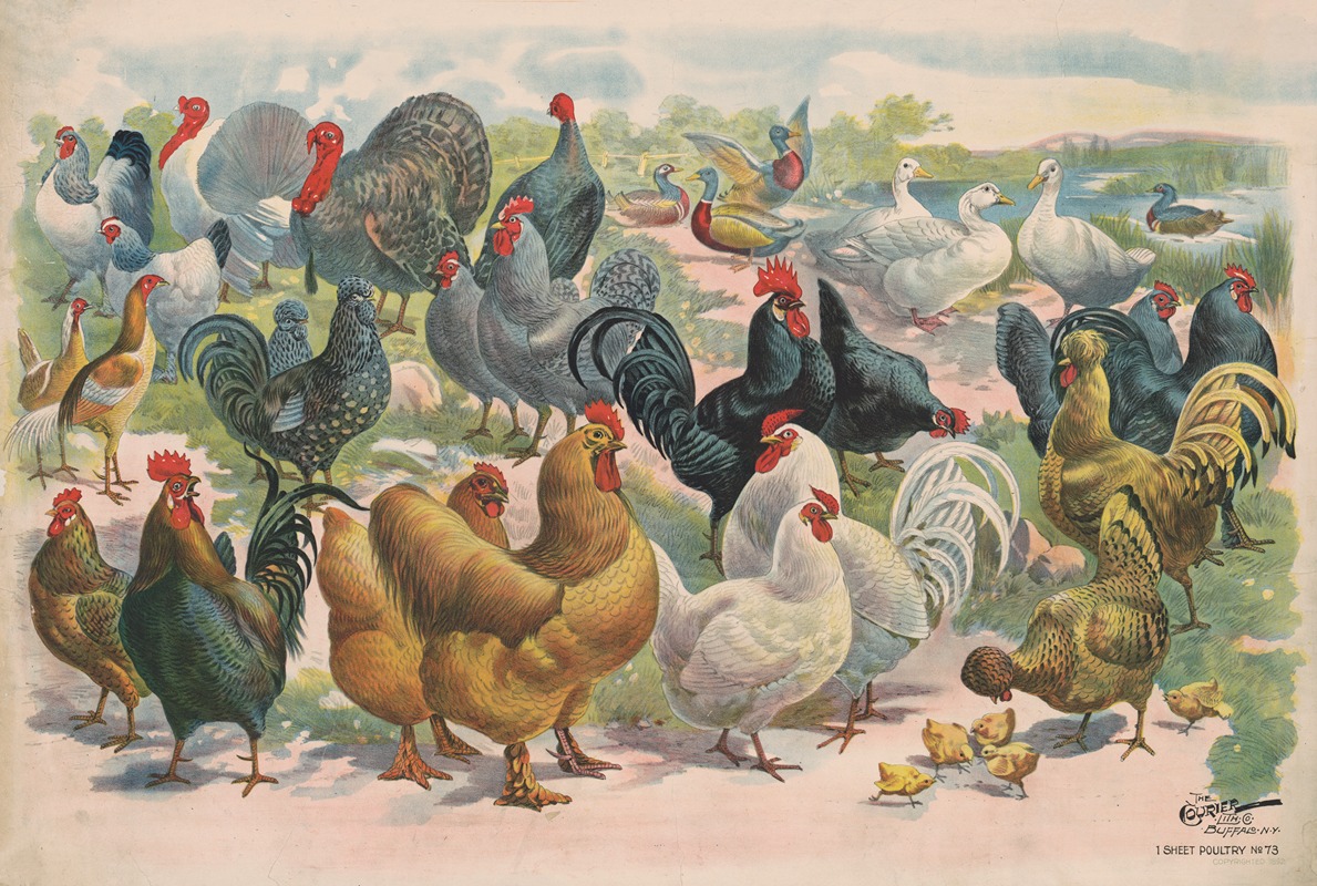 Courier Litho. Co. - Poultry