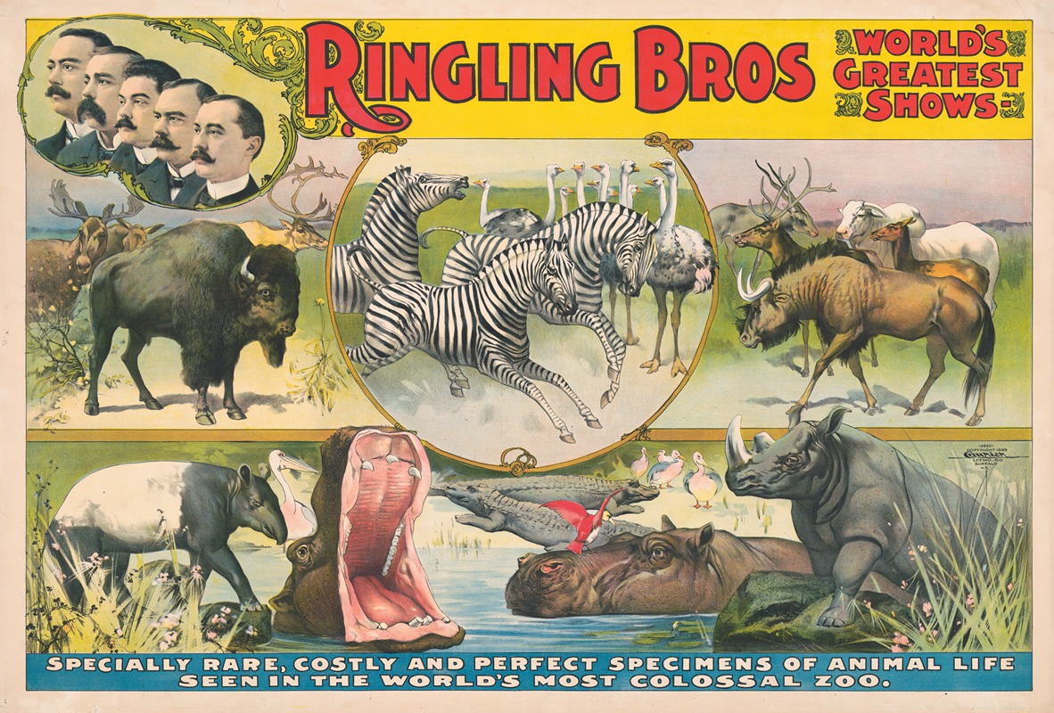 Courier Litho. Co. - Ringling Bros. world’s greatest shows – Specially rare, costly and perfect specimens of animal life … in … Colossal zoo