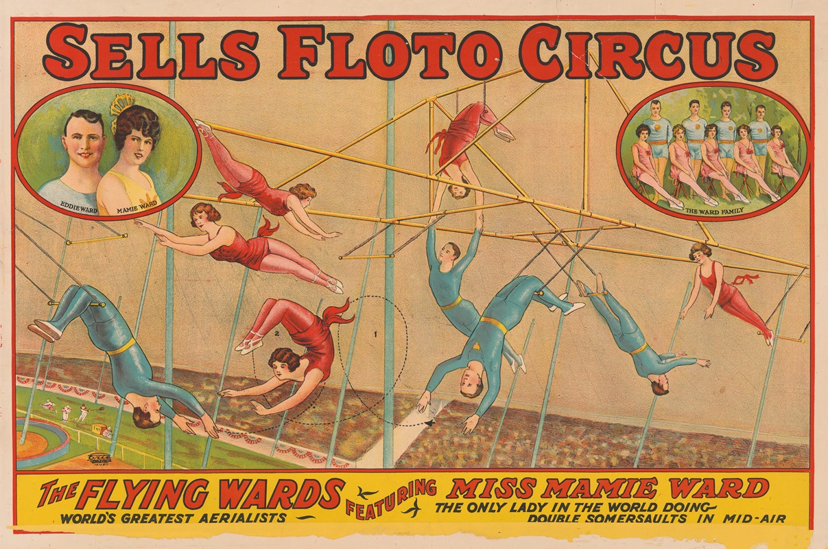 Erie Litho Co. - Sells Floto circus The Flying Wards featuring Miss Mamie Ward