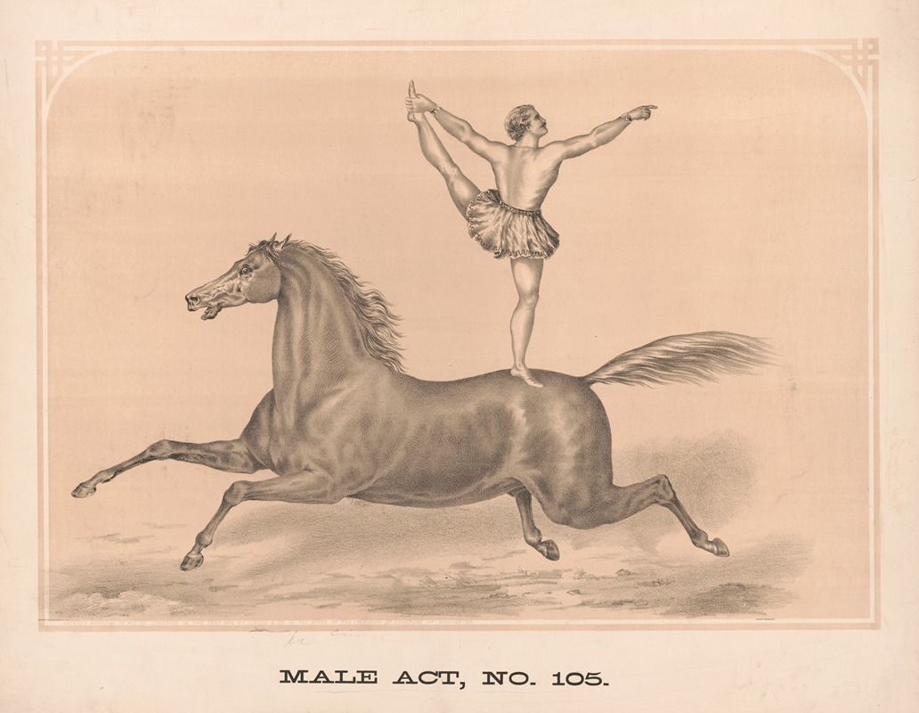 Gibson & Co. Lith - Male act, no. 105