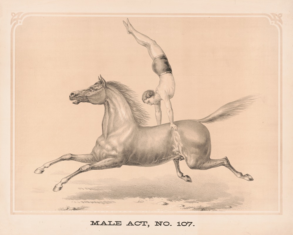 Gibson & Co. Lith - Male act, no. 107