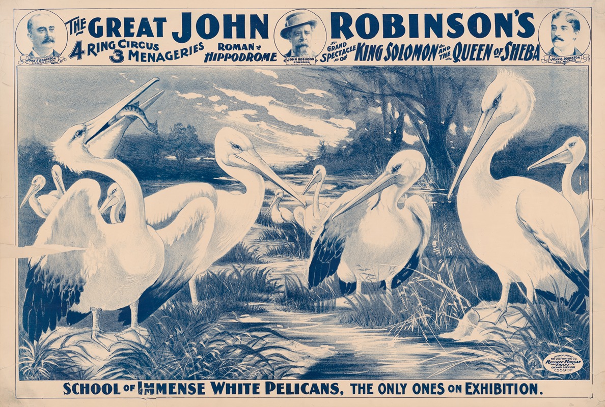 Russell, Morgan & Co. - The great John Robinson’s 4 ring circus…School of immense white pelicans, the only ones on exhibition