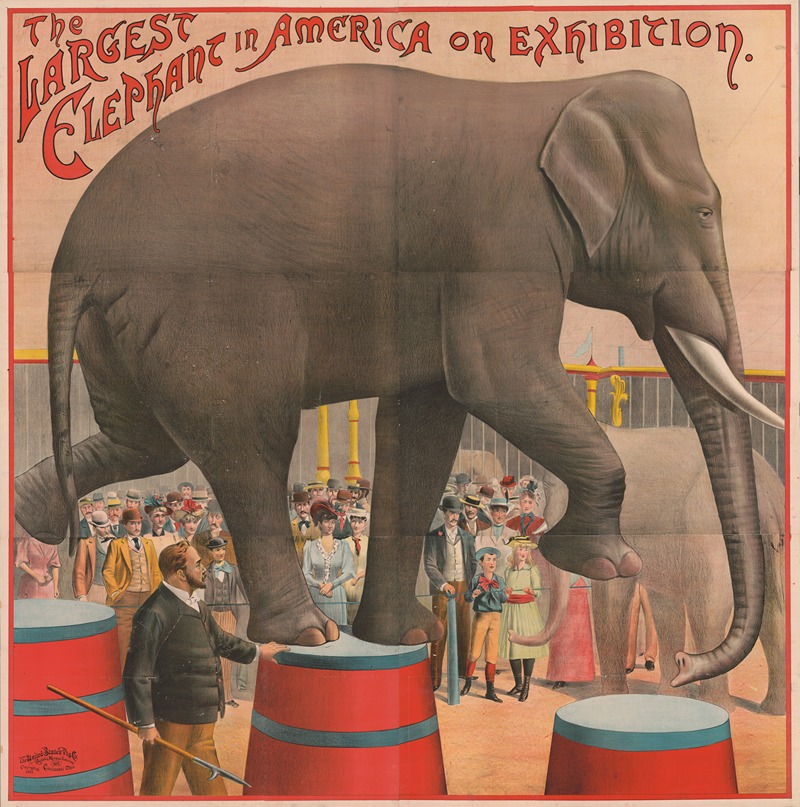 Russell, Morgan & Co. - The largest elephant in America on exhibition