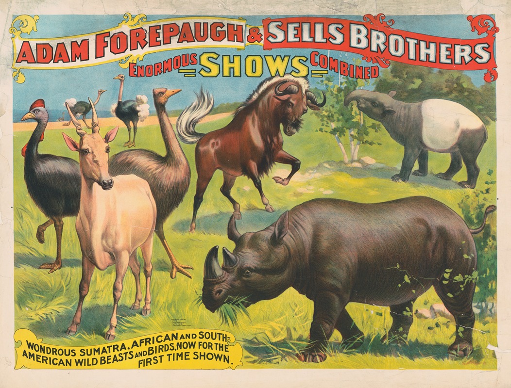 Strobridge & Co. Lith - Adam Forepaugh & Sells Brothers enormous shows combined. Wondrous Sumatra, African and South-American wild beasts and birds, …