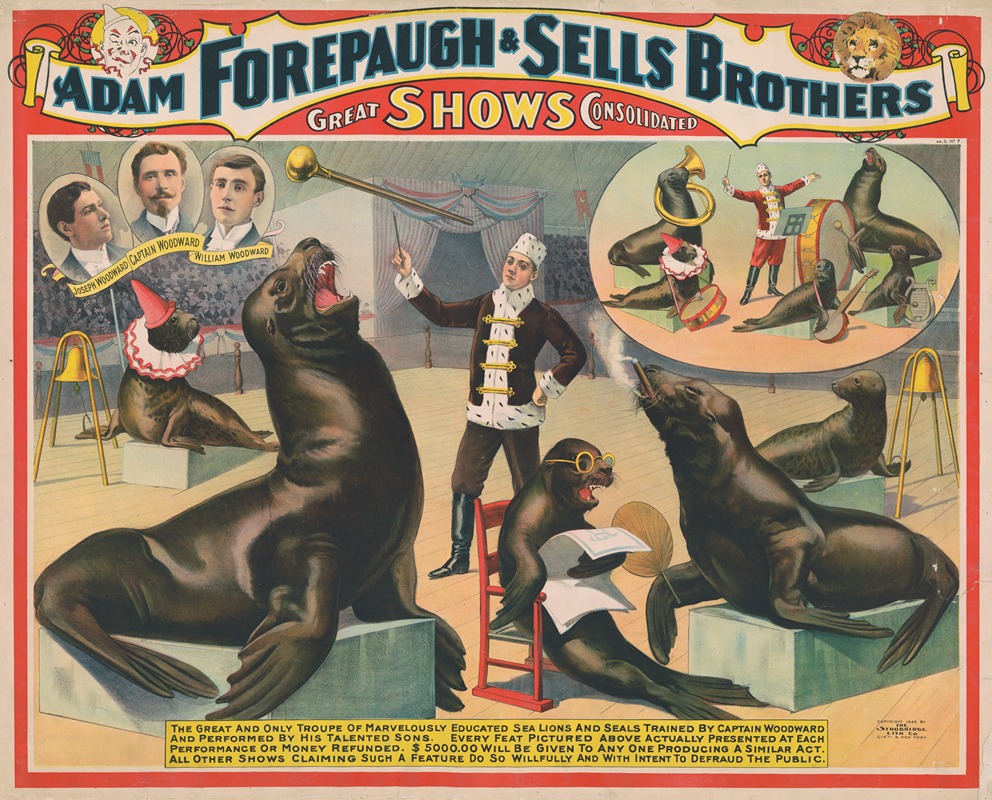 Strobridge & Co. Lith - Adam Forepaugh & Sells Brothers great shows consolidated