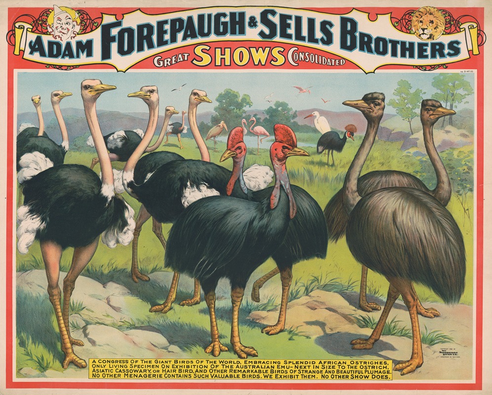 Strobridge & Co. Lith - Adam Forepaugh & Sells Brothers great shows consolidated A congress of the giant birds of the world, …