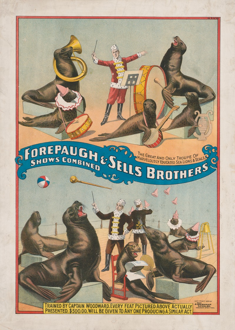 Strobridge & Co. Lith - Forepaugh & Sells Brothers shows combined The great and only troupe of marvelously educated sea lions & seals