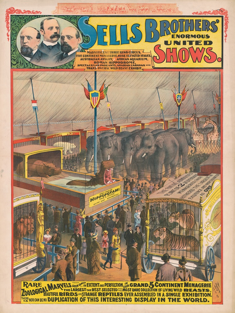 Strobridge & Co. Lith. - Sells Brothers’ enormous united shows–Rare zoological marvels …