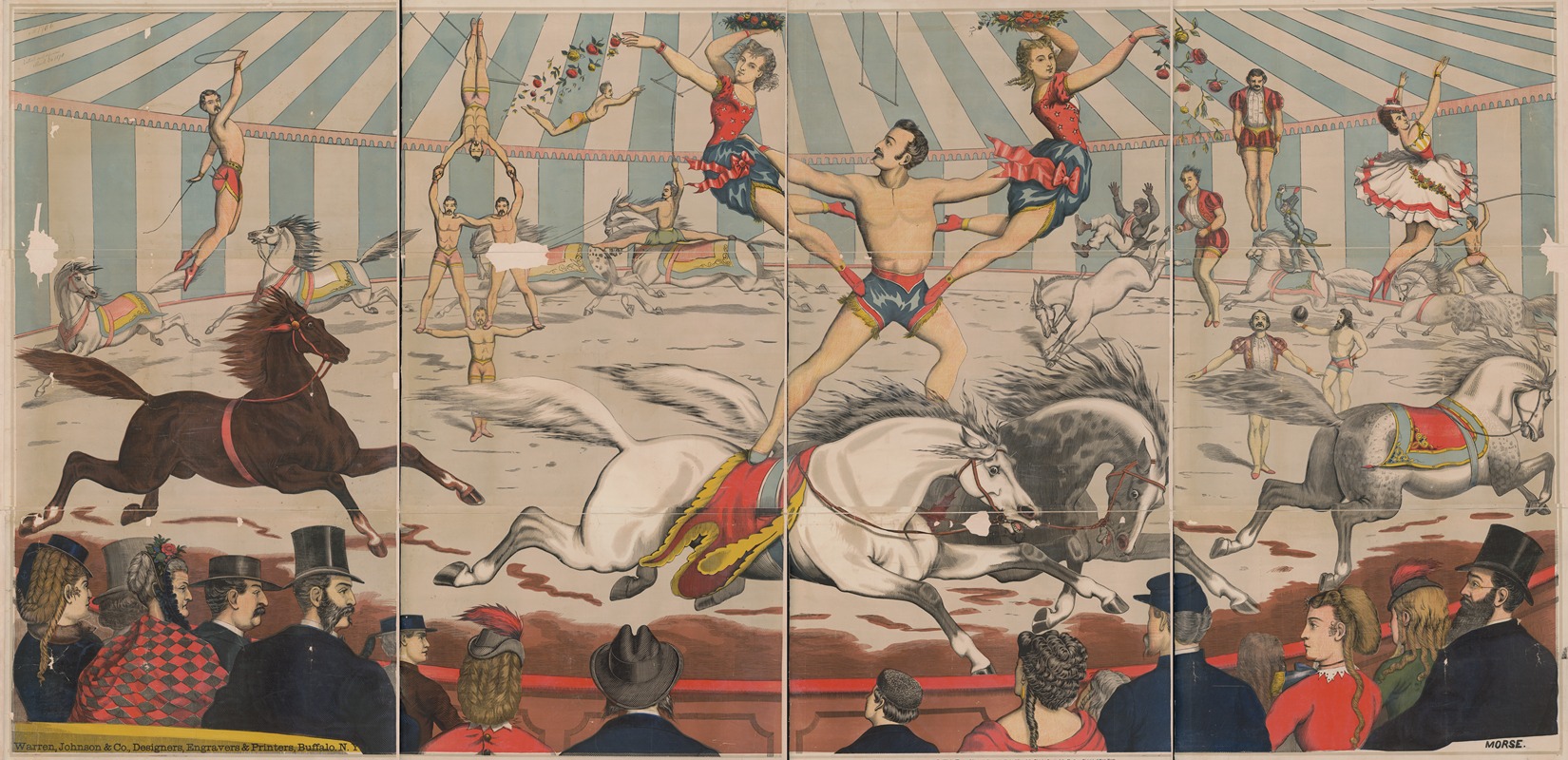 Warren, Johnson & Co. - Acrobats on horseback