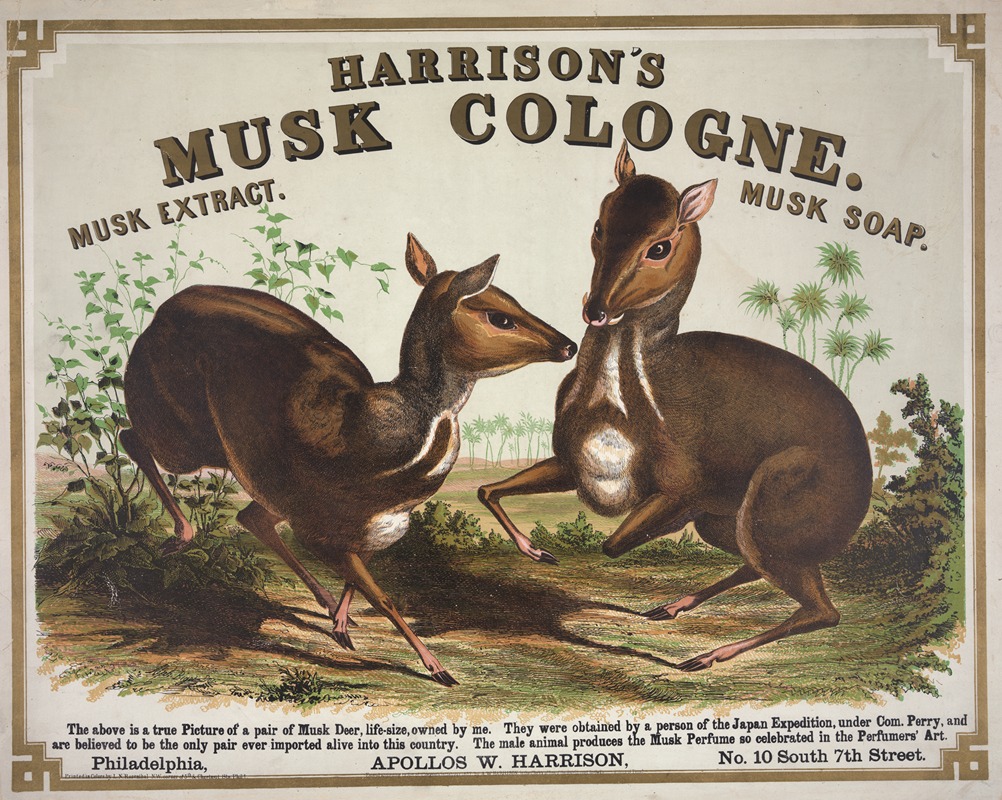 Alphonse Bigot - Harrison’s musk cologne. Philadelphia