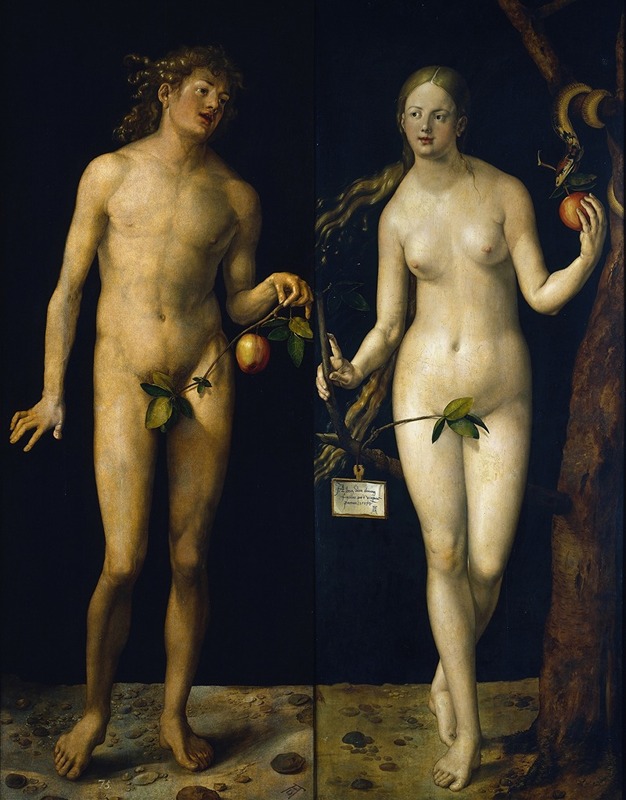 Albrecht Dürer - Adam And Eve
