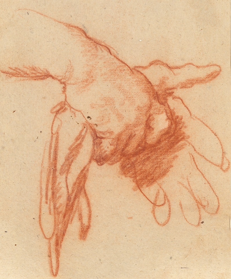 Bernardo Strozzi - A Hand Holding Empty Gloves