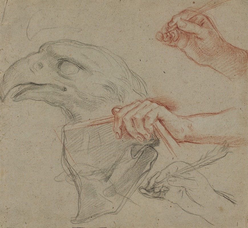 Carlo Maratti - Study for an eagle’s head, three studies for a hand with a quill_and one study for a hand holding a book