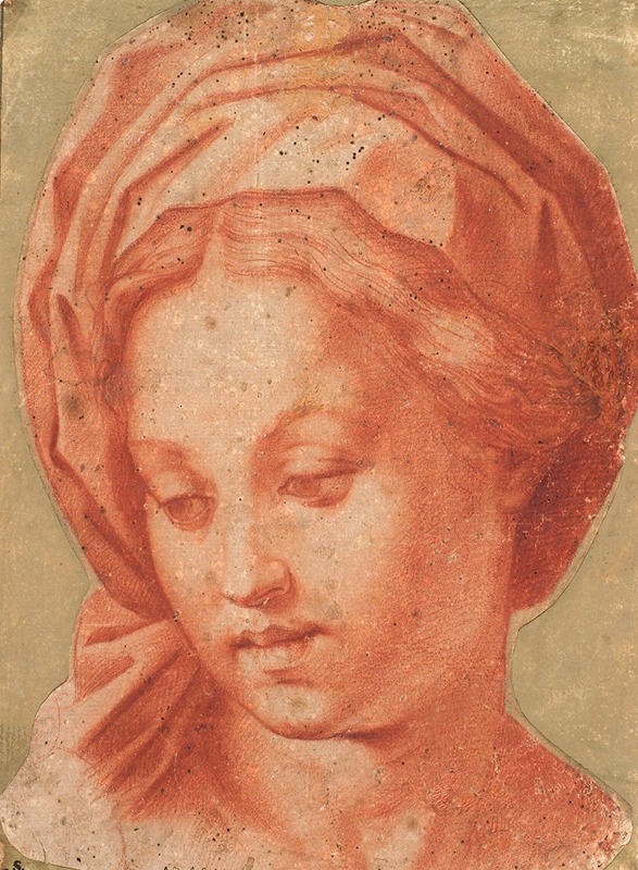 Andrea del Sarto - Madonna Borghese
