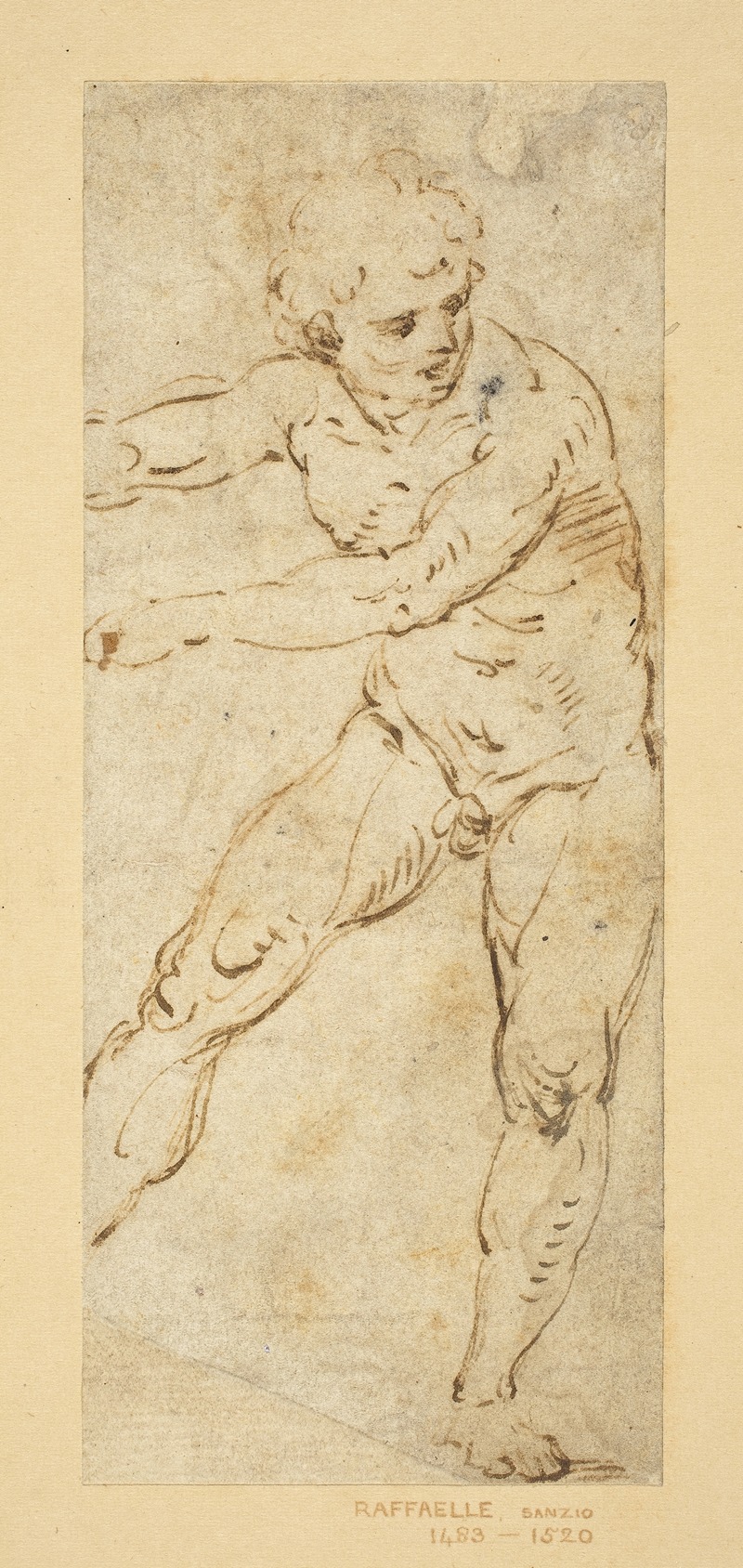 Follower of Raphael - A Standing Male Nude