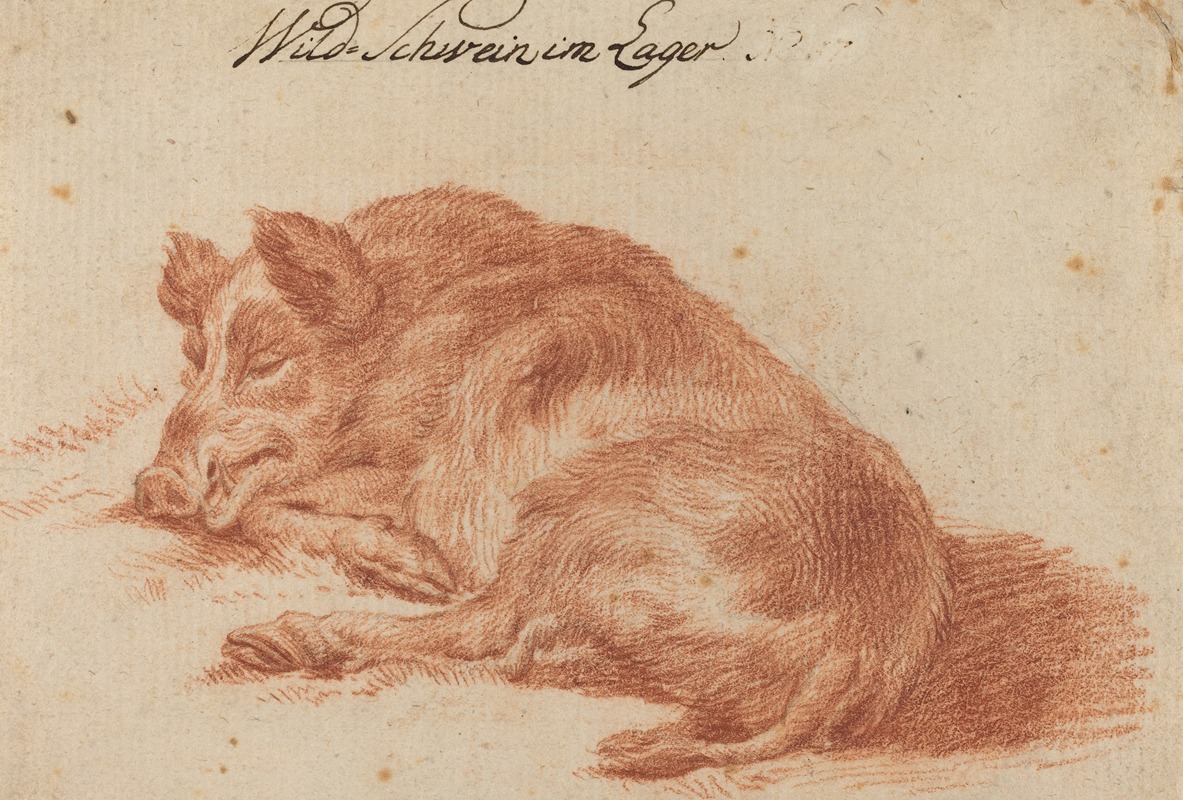 German, 18th Century - Wild Boar