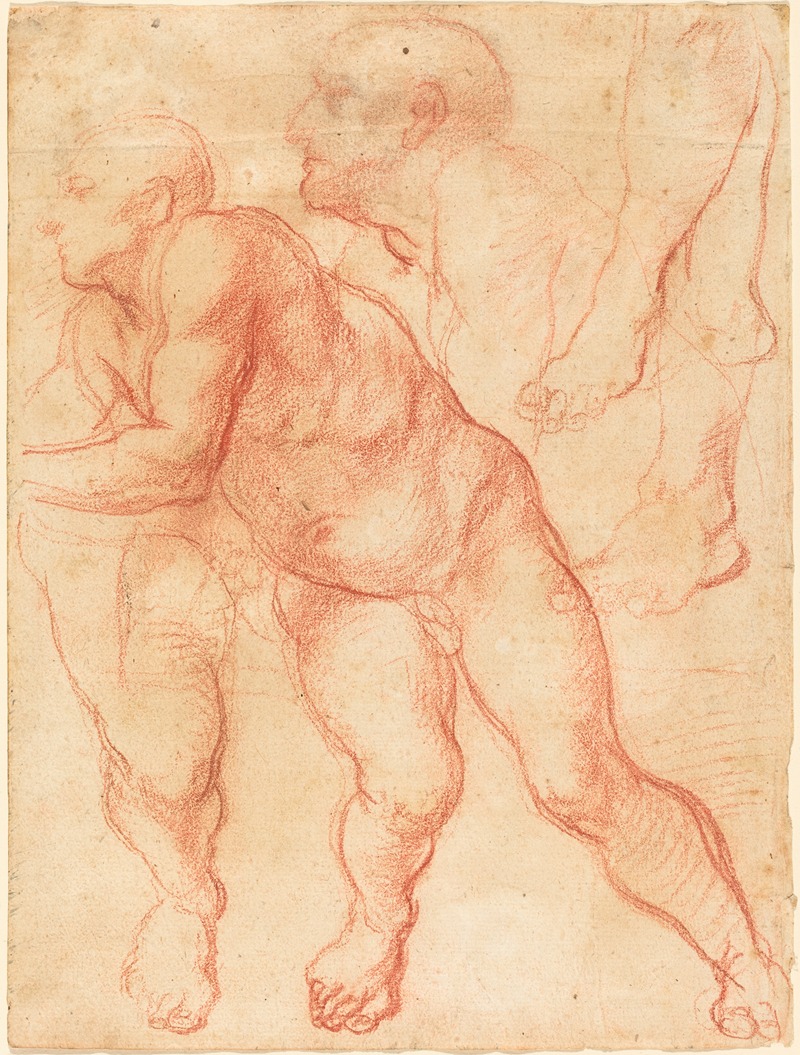 Giovanni Battista Naldini - Studies of a Male Nude