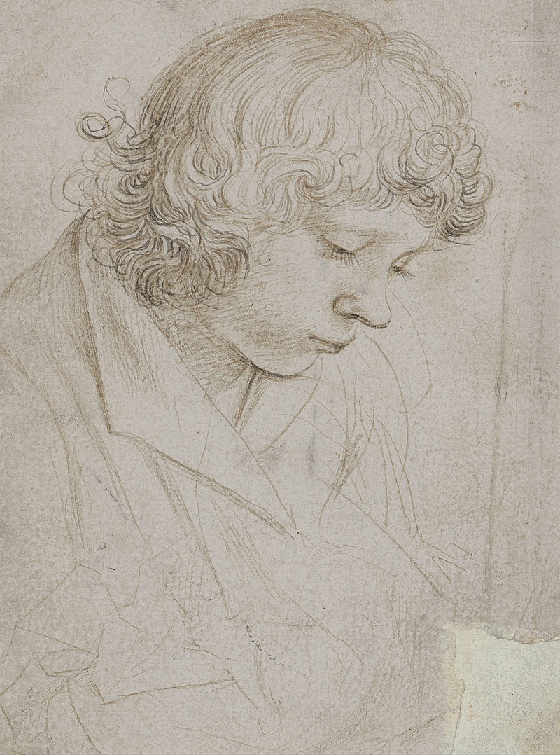 Hans Holbein The Elder - Brustbild eines niederblickenden Jünglings