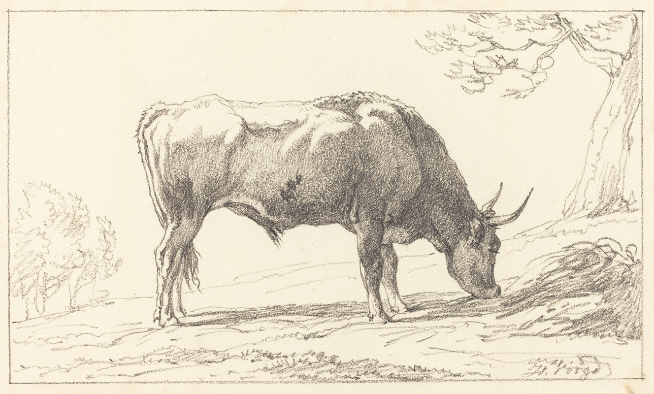 Hendrik Voogd - A Young Bull Grazing