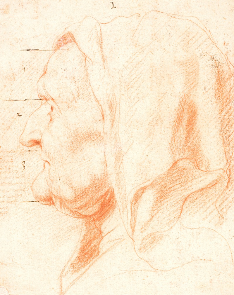 Jacob Jordaens - Head of an Old Woman, in Left Profile