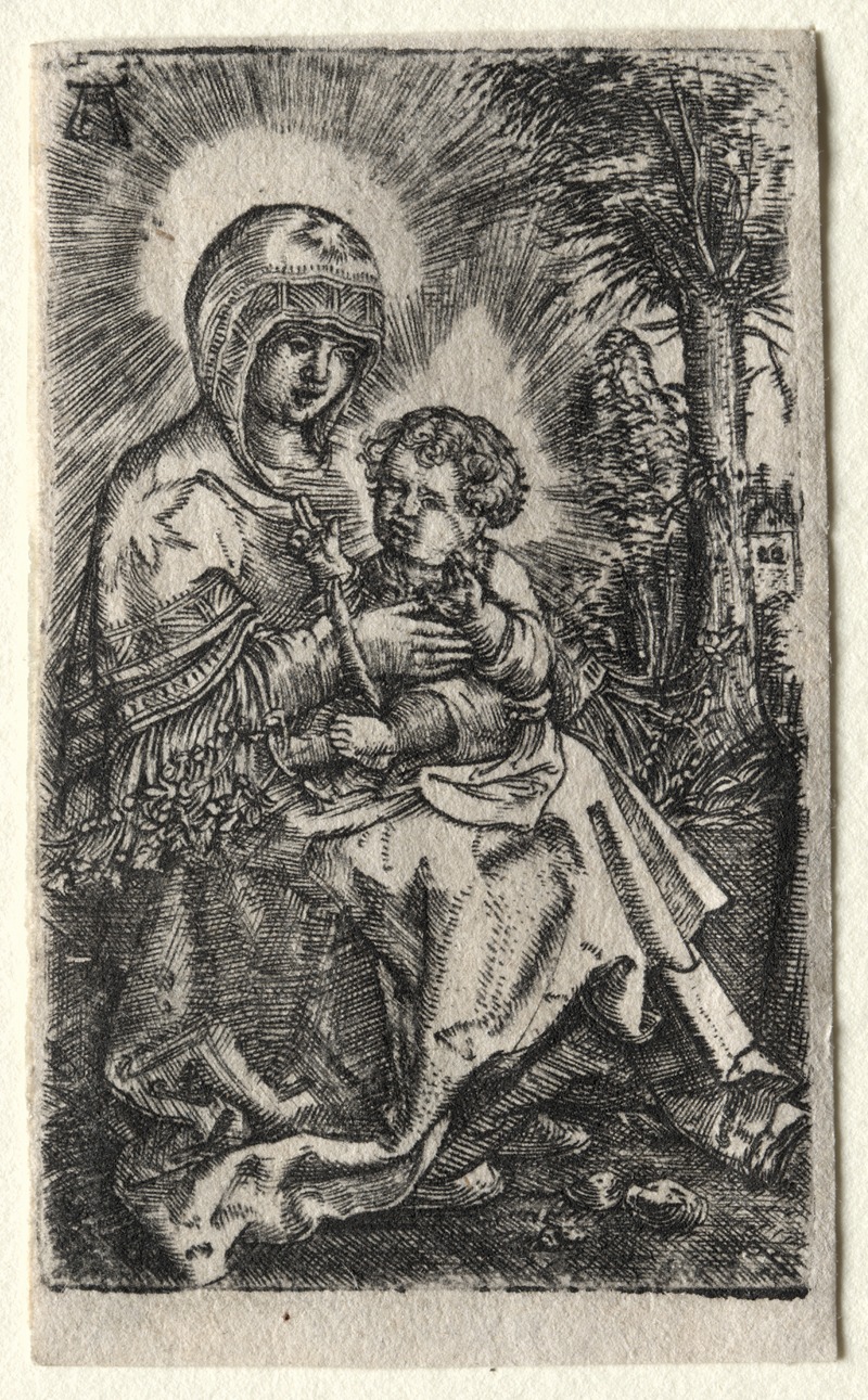 Albrecht Altdorfer - The Beautiful Virgin of Ratisbon in a Landscape