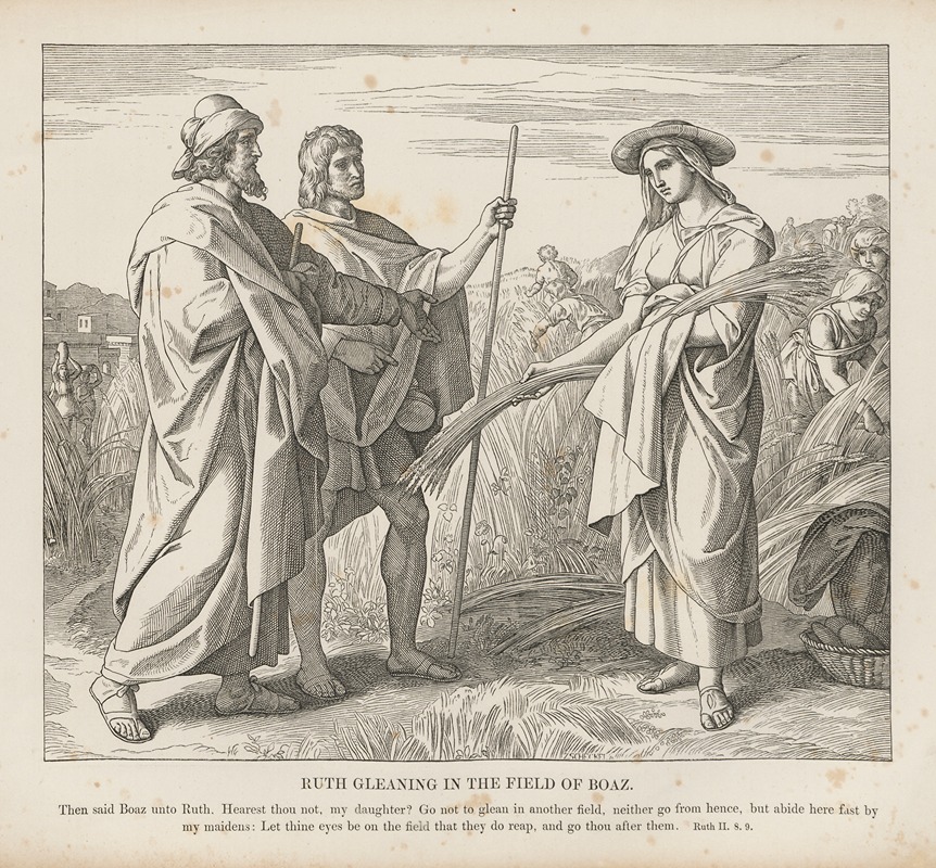 Julius Schnorr von Carolsfeld - Ruth gleaning in the field of Boaz