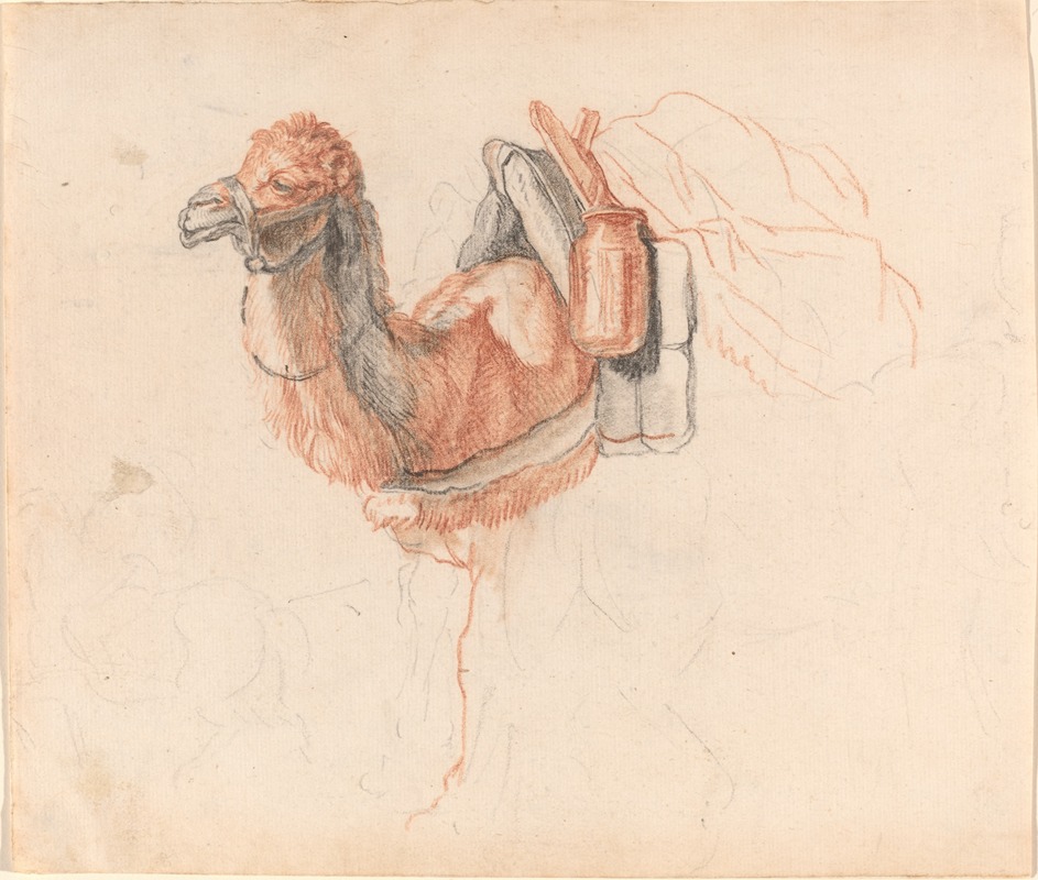 Johann Rudolph Schellenberg - Camel