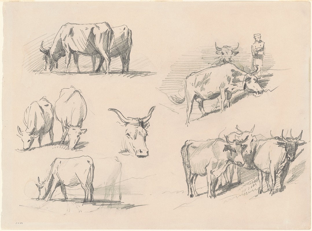 John Singer Sargent - Studies of Cattle