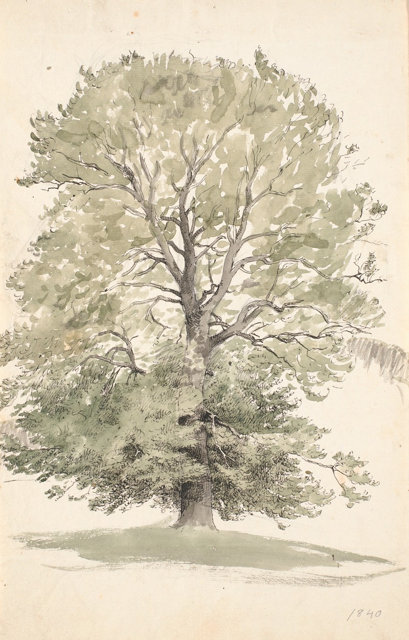 P. C. Skovgaard - Et stort bøgetræ med grønt løv