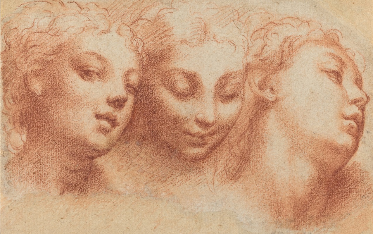 Parmigianino - Three Feminine Heads
