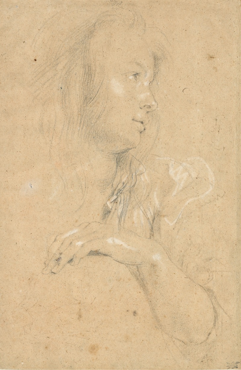 Peter Paul Rubens - Young Woman in Profile