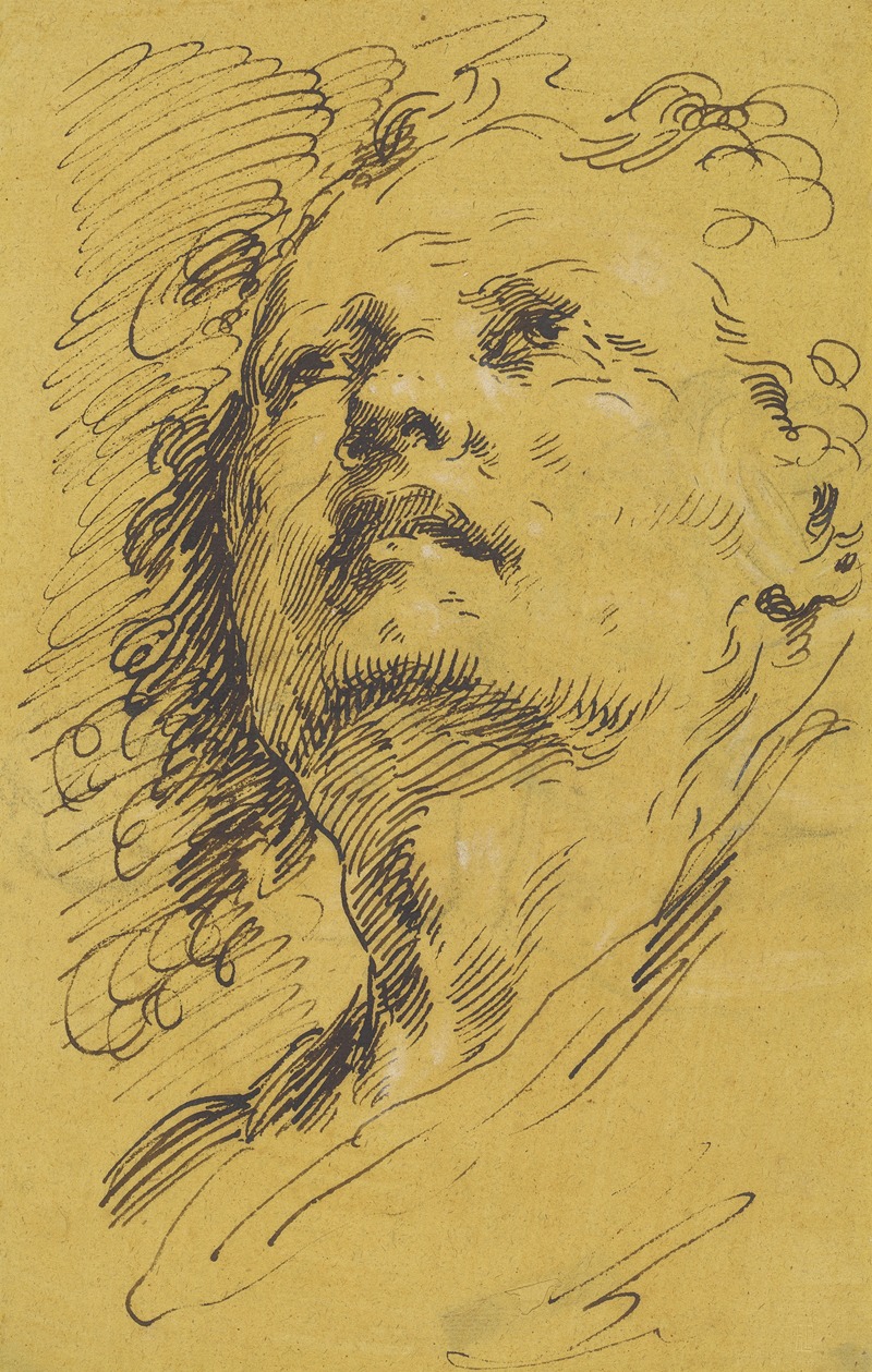 Pietro Antonio Novelli - Head of a Man Looking Up