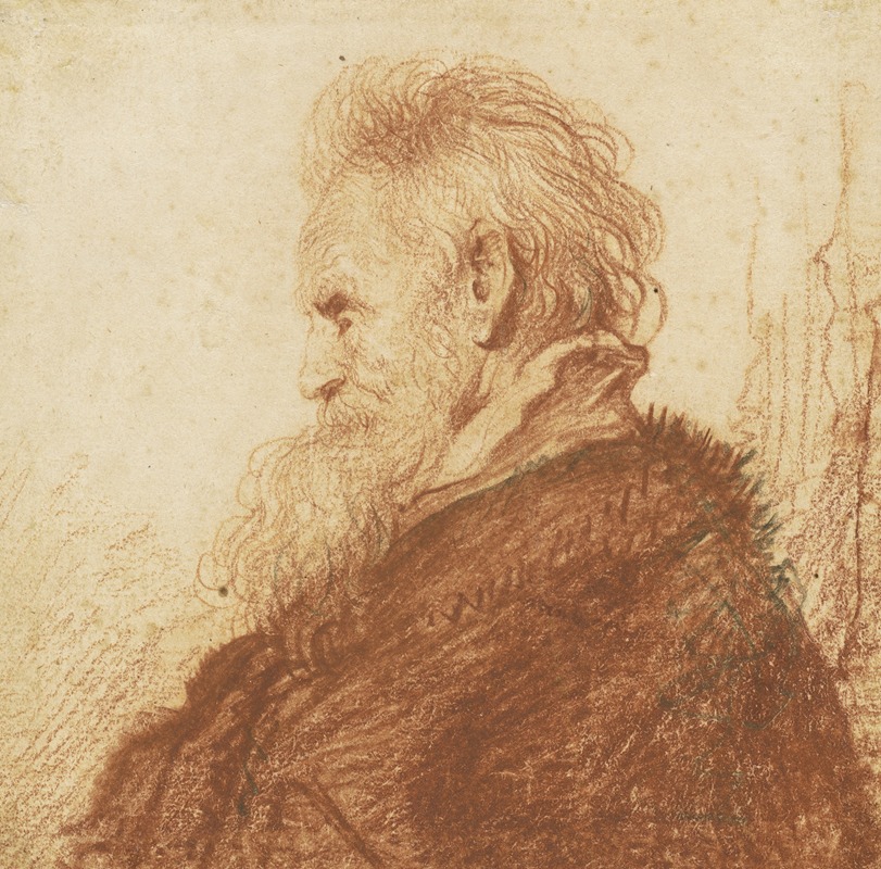 Rembrandt van Rijn - Head of an Old Man (recto)