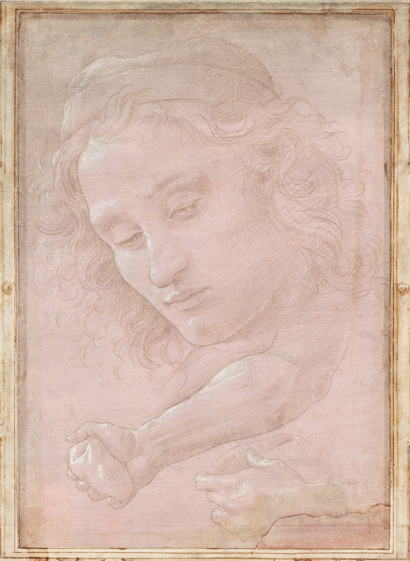 Sandro Botticelli - Head of a Youth Wearing a Cap; a Right Forearm with the Hand Clutching a Stone; and a Left Hand Holding a Drapery