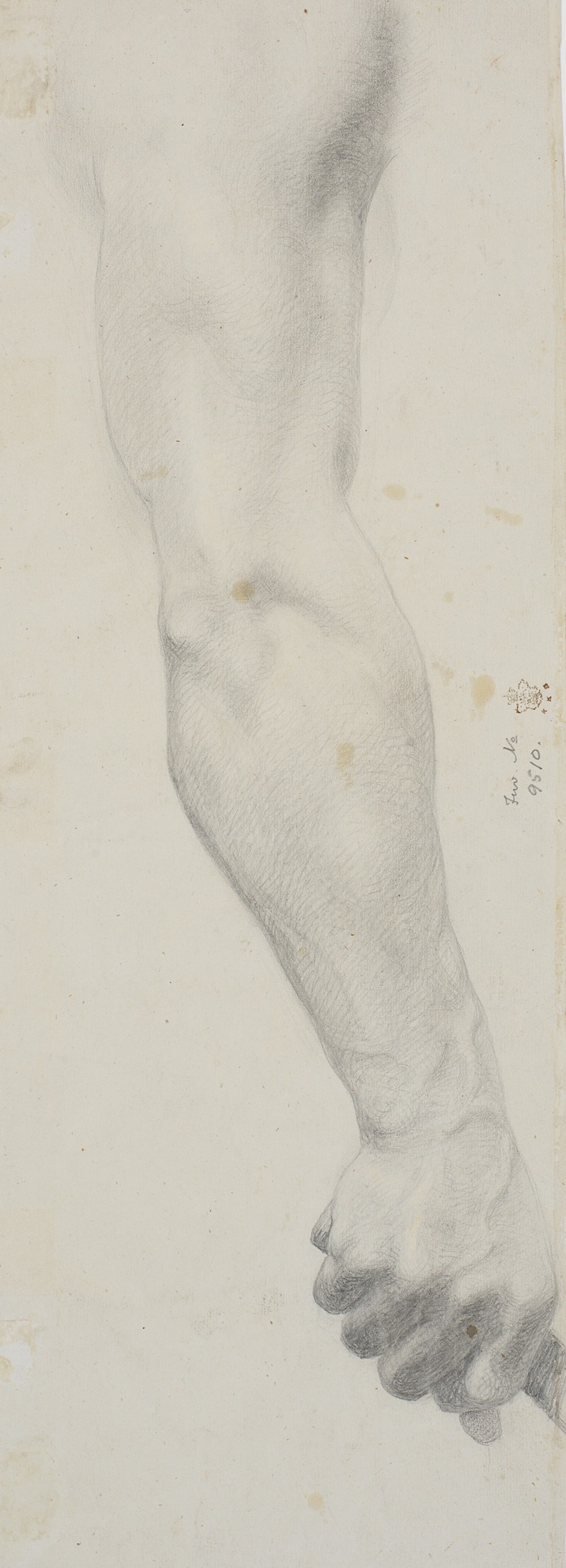 Theodor Philipsen - Studie af mandlig højre arm