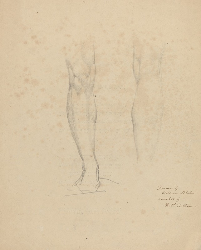 William Blake - Two Legs