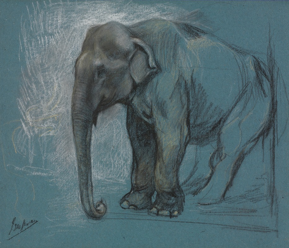 John Macallan Swan - Study of an Elephant