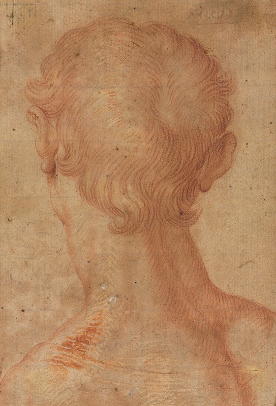 Agnolo Bronzino - Man’s Head from the Back