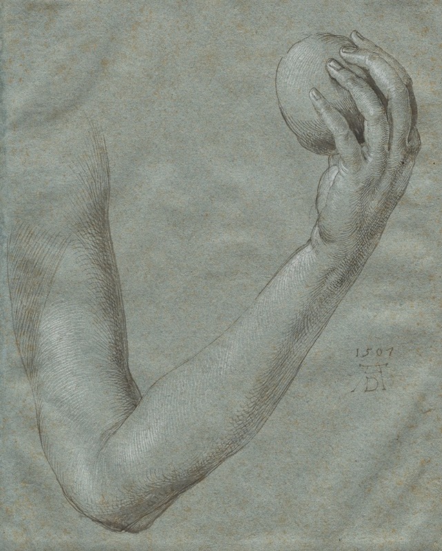 Albrecht Dürer - Arm of Eve