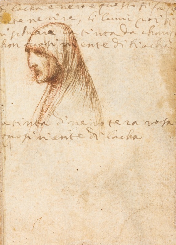 Dosso Dossi - Bust-Length Profile of an Old Woman (verso)