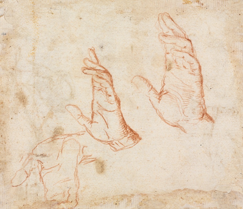 Camillo Procaccini - Study of Hands (verso)