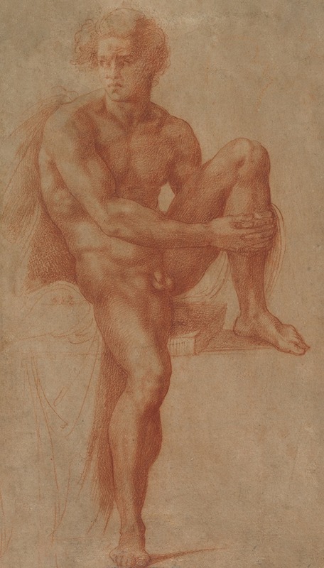 Baccio Bandinelli - Seated Male Nude