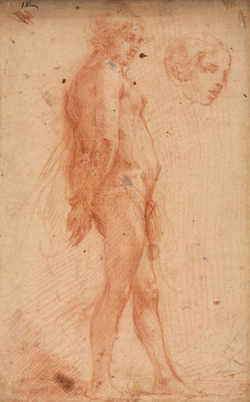 Cecco Bravo - Study of a Standing Male Nude, with a Study of Head in Three-Quarter Profile