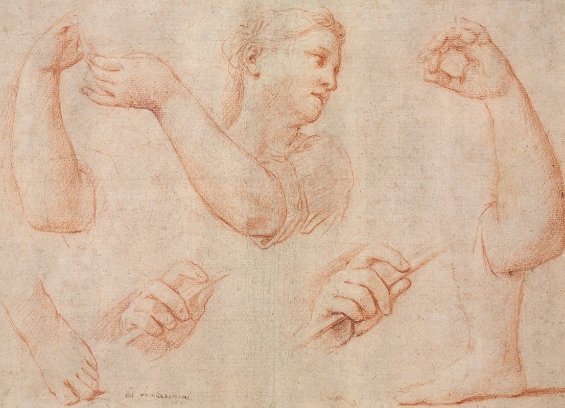 Marcantonio Franceschini - Study of a Young Woman Playing a Tambourine, and Studies of an Arm, Hands, and Feet (Studies for  “Miriam Leading the Chorus of Women Who Give Thanks for the Routing of Pharoah”