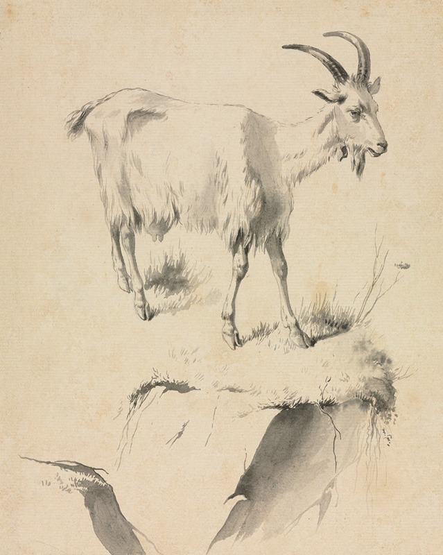 Jean-Jacques de Boissieu - Study of a Goat