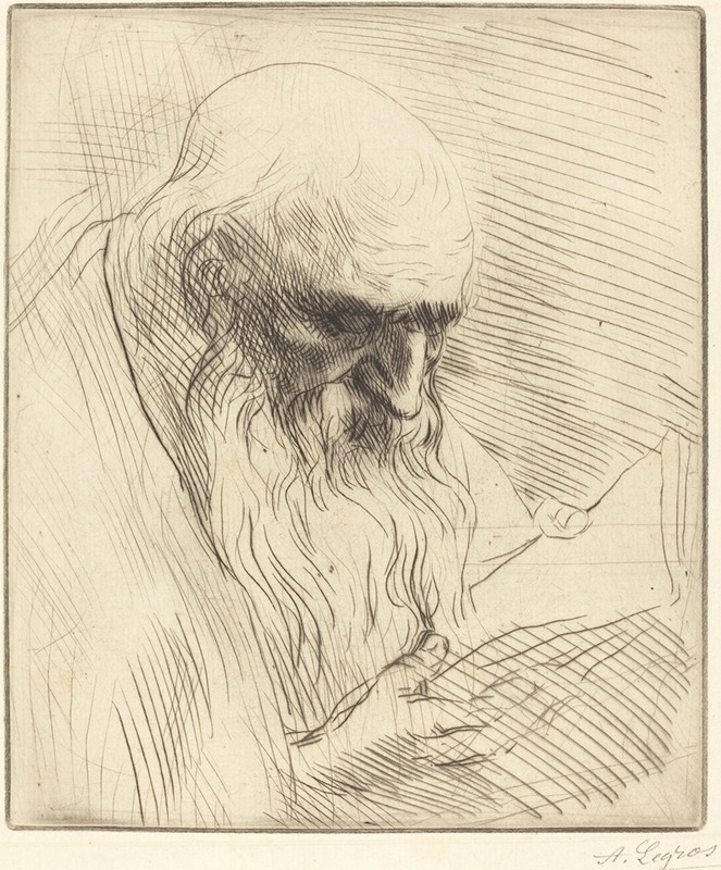 Alphonse Legros - Study of the Head of a Man Reading (Etude de tete d’homme lisant)